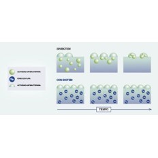 Caracteristicas pintura biotem