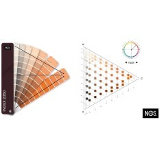 Carta NCS index 2050